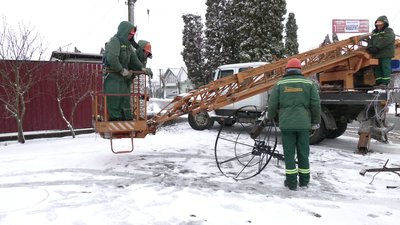 Встановлюють гнізда для лелек Встановлюють гнізда для лелек