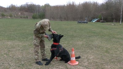 "Він привів до ймовірного злочинця": як працівники кінологічного центру поліції в Рівному тренують собак "Він привів до ймовірного злочинця": як працівники кінологічного центру поліції в Рівному тренують собак