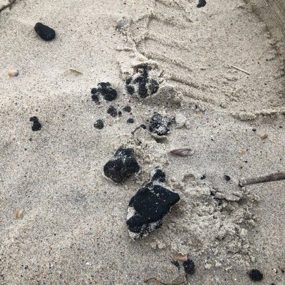Тисяча шістдесят сьомий день війни. Хроніка подій в Одеській області Тисяча шістдесят сьомий день війни. Хроніка подій в Одеській області