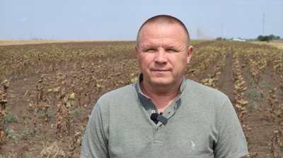 "Страшенний неврожай": посуха завдала збитків аграріям Миколаївщини "Страшенний неврожай": посуха завдала збитків аграріям Миколаївщини