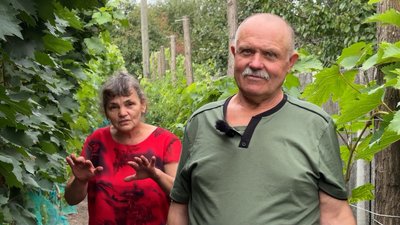 «На картоплі вбиваєшся, а тут і сили додається»: на Чернігівщині подружжя пенсіонерів на городі вирощує виноград