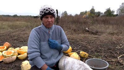 "Дуже страшно — дрон летить, ми вибираємо": як в Архипівці на Чернігівщині під обстрілами збирають гарбузове насіння "Дуже страшно — дрон летить, ми вибираємо": як в Архипівці на Чернігівщині під обстрілами збирають гарбузове насіння