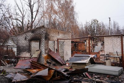 Студенок, наслідки лісової пожежі Студенок, наслідки лісової пожежі