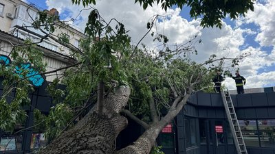 Після грози відновлюють електропостачання: вуличне освітлення у Кропивницькому 28 травня не вмикатимуть Після грози відновлюють електропостачання: вуличне освітлення у Кропивницькому 28 травня не вмикатимуть