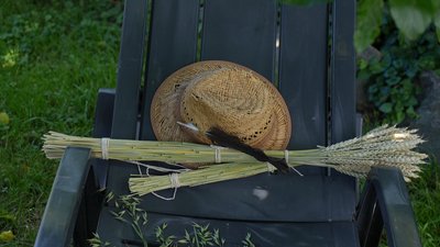Символ добробуту та єдності: подружжя з Вінниччини вирощує злаки, щоб робити дідухи Символ добробуту та єдності: подружжя з Вінниччини вирощує злаки, щоб робити дідухи