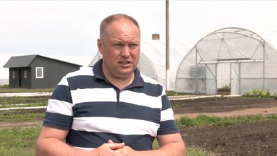 Теплиці за грант Теплиці за грант