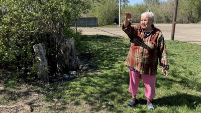Світлана Довга Балка Іллінівська громада Донецька область Світлана Довга Балка Іллінівська громада Донецька область