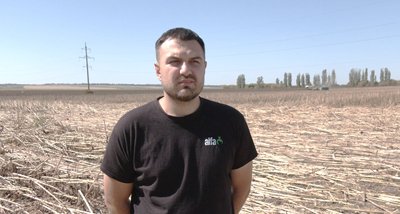 Володимир Гладун, агропідприємство, збір соняшника Володимир Гладун, агропідприємство, збір соняшника