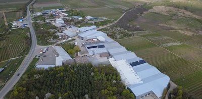 Продають яблука до країн Азії: чому в Недобоївській громаді на Буковині найкращі умов для розвитку садівництва Продають яблука до країн Азії: чому в Недобоївській громаді на Буковині найкращі умов для розвитку садівництва