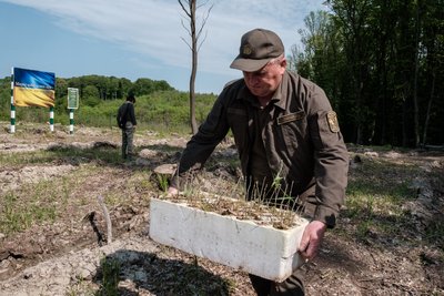 3 травня на Львівщині висадили майже 38 тисяч дерев 3 травня на Львівщині висадили майже 38 тисяч дерев