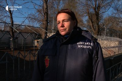 Як одеський зоопарк переживає відключення електроенергії Як одеський зоопарк переживає відключення електроенергії