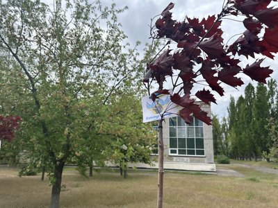 У Кременчуці на Полтавщині у дворі ліцею зробили Алею Пам'яті