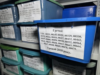 Чи буде на Полтавщині дефіцит гречки? Чи буде на Полтавщині дефіцит гречки?