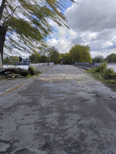 Знеструмлено понад 18 тисяч абонентів та повалені дерева: наслідки негоди на Рівненщині Знеструмлено понад 18 тисяч абонентів та повалені дерева: наслідки негоди на Рівненщині