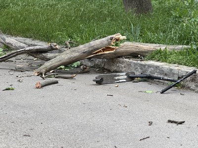 У Полтаві на дитину впало дерево У Полтаві на дитину впало дерево