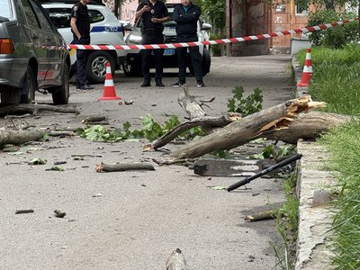 "Ніхто не дає шансів, що встане": мама хлопчика, на якого впало дерево у Полтаві, про стан сина "Ніхто не дає шансів, що встане": мама хлопчика, на якого впало дерево у Полтаві, про стан сина