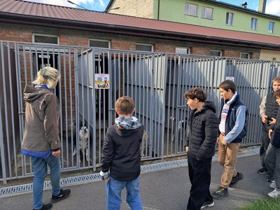 Учні вінницьких шкіл передали понад 300 кг корму для собак муніципальному притулку