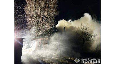 Війська РФ атакували безпілотниками ферму на Чернігівщині, загинули 11 корів
