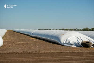 Зерно є, продати його нікуди: як блокування портів змінює роботу аграріїв Одещини Зерно є, продати його нікуди: як блокування портів змінює роботу аграріїв Одещини