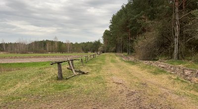 Бердуха: як живуть люди на хуторі на Рівненському Поліссі Бердуха: як живуть люди на хуторі на Рівненському Поліссі