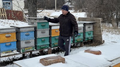 Кіровоградщина лідирує в Україні за кількістю пасік Кіровоградщина лідирує в Україні за кількістю пасік