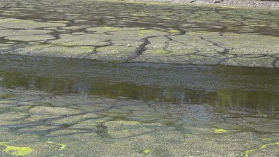 У центрі Кропивницького понизили рівень води в Інгулі: екологи попереджають про можливу загибель риби У центрі Кропивницького понизили рівень води в Інгулі: екологи попереджають про можливу загибель риби