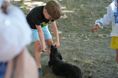 «Популяризує територію»: на Черкащині стартував «Ше.fest» «Популяризує територію»: на Черкащині стартував «Ше.fest»