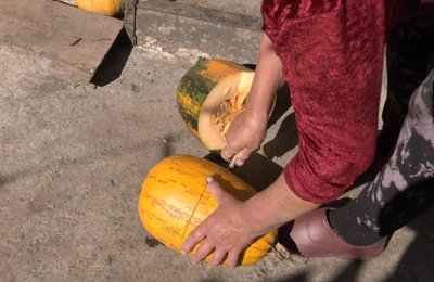 «Буде якісний продукт, то й копійка буде»: як на Волині заробляють на гарбузах «Буде якісний продукт, то й копійка буде»: як на Волині заробляють на гарбузах