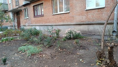 У Полтаві за 4,5 мільйони прочистять близько 20 ливнівок У Полтаві за 4,5 мільйони прочистять близько 20 ливнівок