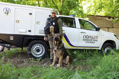 Чотирилапі герої: як собаки допомагають поліції Херсонщини під час війни Чотирилапі герої: як собаки допомагають поліції Херсонщини під час війни