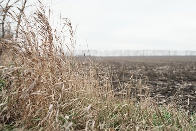 "Забронювали одного": як зміняться правила бронювання для аграріїв "Забронювали одного": як зміняться правила бронювання для аграріїв