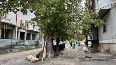 Сміття — під вікнами, щури — у квартирі: у Кропивницькому мешканці багатоповерхівки просять віддалити сміттєві баки Сміття — під вікнами, щури — у квартирі: у Кропивницькому мешканці багатоповерхівки просять віддалити сміттєві баки