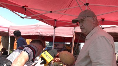 Перевірка якості баштанних культур на ринку в Житомирі