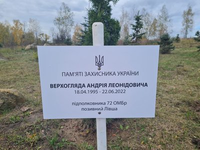 У громаді на Житомирщині в пам'ять про полеглих воїнів висадили туї У громаді на Житомирщині в пам'ять про полеглих воїнів висадили туї