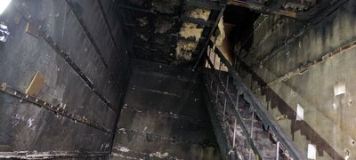 "Вони були мені родиною". У Кривому Розі девʼять котів та собак загинули у пожежі "Вони були мені родиною". У Кривому Розі девʼять котів та собак загинули у пожежі