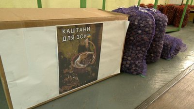 «Каштани для ЗСУ — 2026»: у Житомирі стартував п'ятий сезон благодійної акції