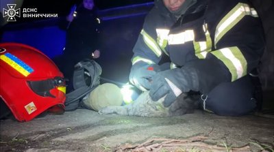 У Вінниці врятували кошеня під час пожежі У Вінниці врятували кошеня під час пожежі