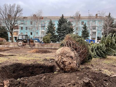 У Краматорську висадили ялинки