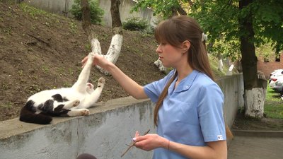 У Хмельницькій ветклініці живуть два коти й дві черепахи: як тварини стали частиною колективу У Хмельницькій ветклініці живуть два коти й дві черепахи: як тварини стали частиною колективу