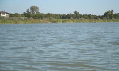 "Можна погуляти з собаками та побудувати для них вольєр»: на Дніпропетровщині відкрили центр для евакуйованих тварин "Можна погуляти з собаками та побудувати для них вольєр»: на Дніпропетровщині відкрили центр для евакуйованих тварин