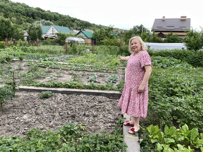 Скупчення білокрилки на капусті на Полтавщині: як це шкодить рослинам Скупчення білокрилки на капусті на Полтавщині: як це шкодить рослинам