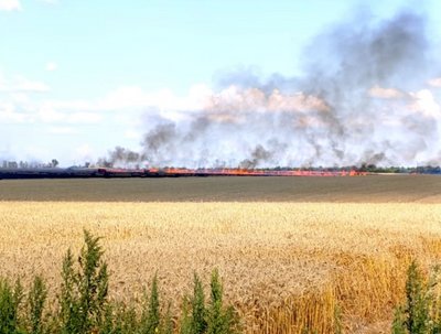Пшеничне поле поблизу Шевченкового Куп'янського району, яке загорілося після влучання російського безпілотника Пшеничне поле поблизу Шевченкового Куп'янського району, яке загорілося після влучання російського безпілотника