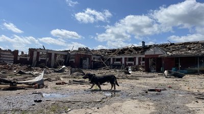 Наслідки ракетного удару 30 травня по дитячій кінно-спортивній школі під Харковом Наслідки ракетного удару 30 травня по дитячій кінно-спортивній школі під Харковом