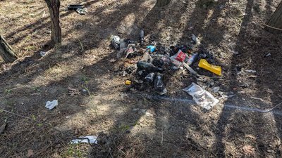 "Марш прибирання": ліс поблизу Луцька очистили від сміття волонтери