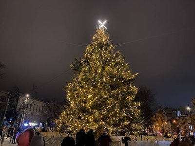 Ялинки незламності: де встановили головний символ різдвяно-новорічних свят Ялинки незламності: де встановили головний символ різдвяно-новорічних свят