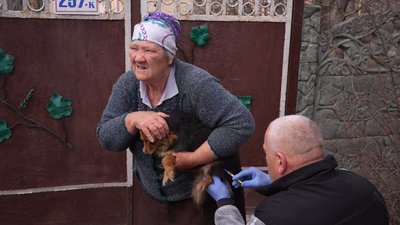 "Якщо щеплення не зробити вчасно — захворювання невиліковне". В одному з міст Дніпропетровщини стався спалах сказу "Якщо щеплення не зробити вчасно — захворювання невиліковне". В одному з міст Дніпропетровщини стався спалах сказу