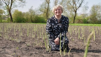 Наталія Галицька, спаржа, ряди спаржі Наталія Галицька, спаржа, ряди спаржі