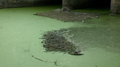 На Вінниччині екологи перевіряли стан річки Рось На Вінниччині екологи перевіряли стан річки Рось