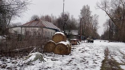 "Дикі звірі заходять частіше, ніж люди": як живуть останні жителі села на прикордонні Чернігівщини "Дикі звірі заходять частіше, ніж люди": як живуть останні жителі села на прикордонні Чернігівщини
