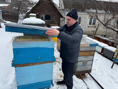 "Головне — врятувати від голоду": як вінницький пасічник допомагає бджолам перезимувати "Головне — врятувати від голоду": як вінницький пасічник допомагає бджолам перезимувати